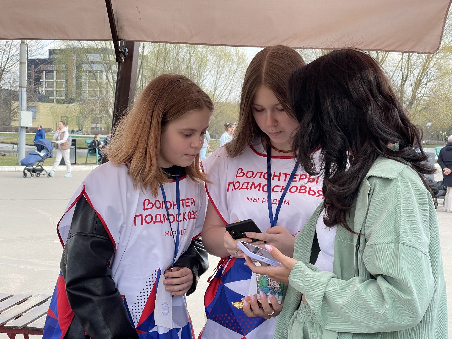 Одинцовский округ, благоустройство, парк, Раздолье, Захарово, парк Малевича, парк имени Лазутиной, Звенигород, питьевые фонтаны, туалеты, скамейки, площадки для выгула собак, почистить водоём, спортивные объекты