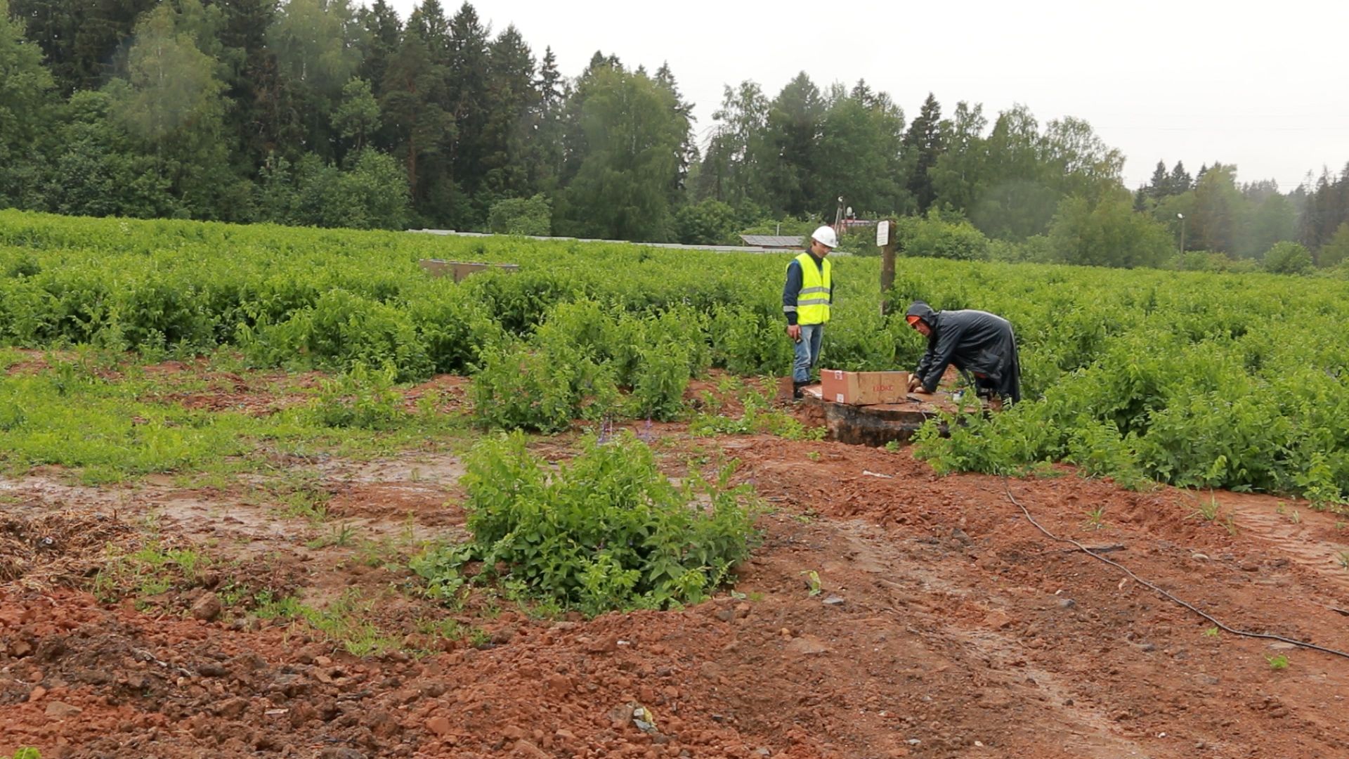 Солнечногорск, водоснабжение, сети, ремонт, капитальныйремонт