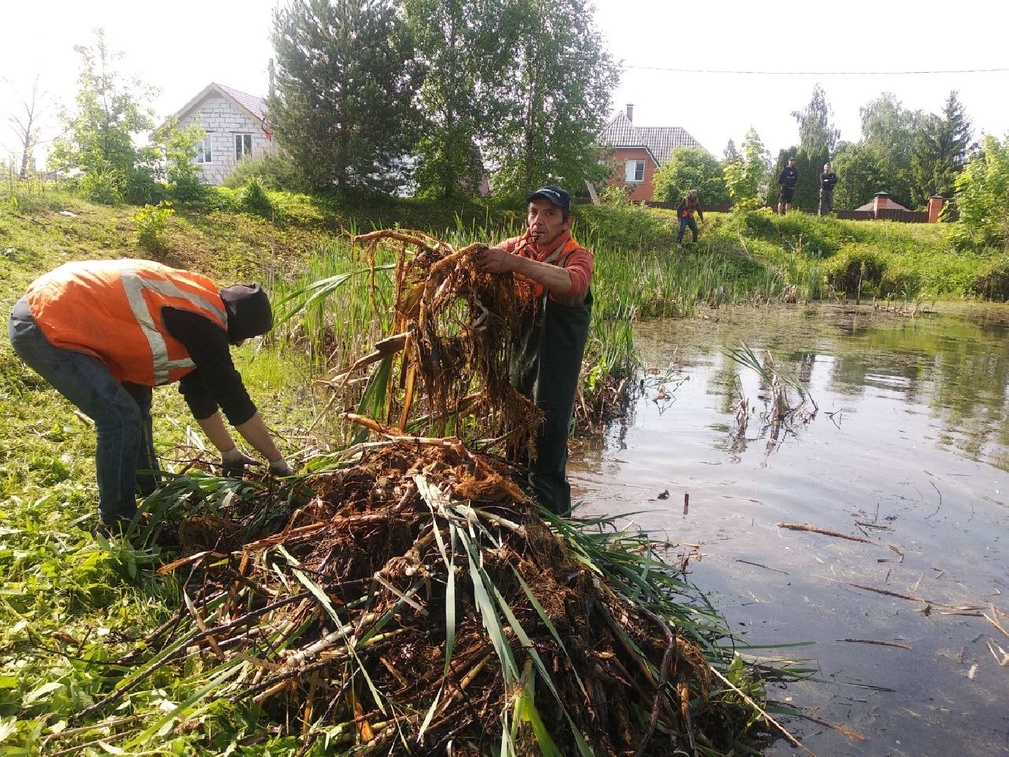 Дмитров, программа 100 прудов и озер, Мин благоустройства МО