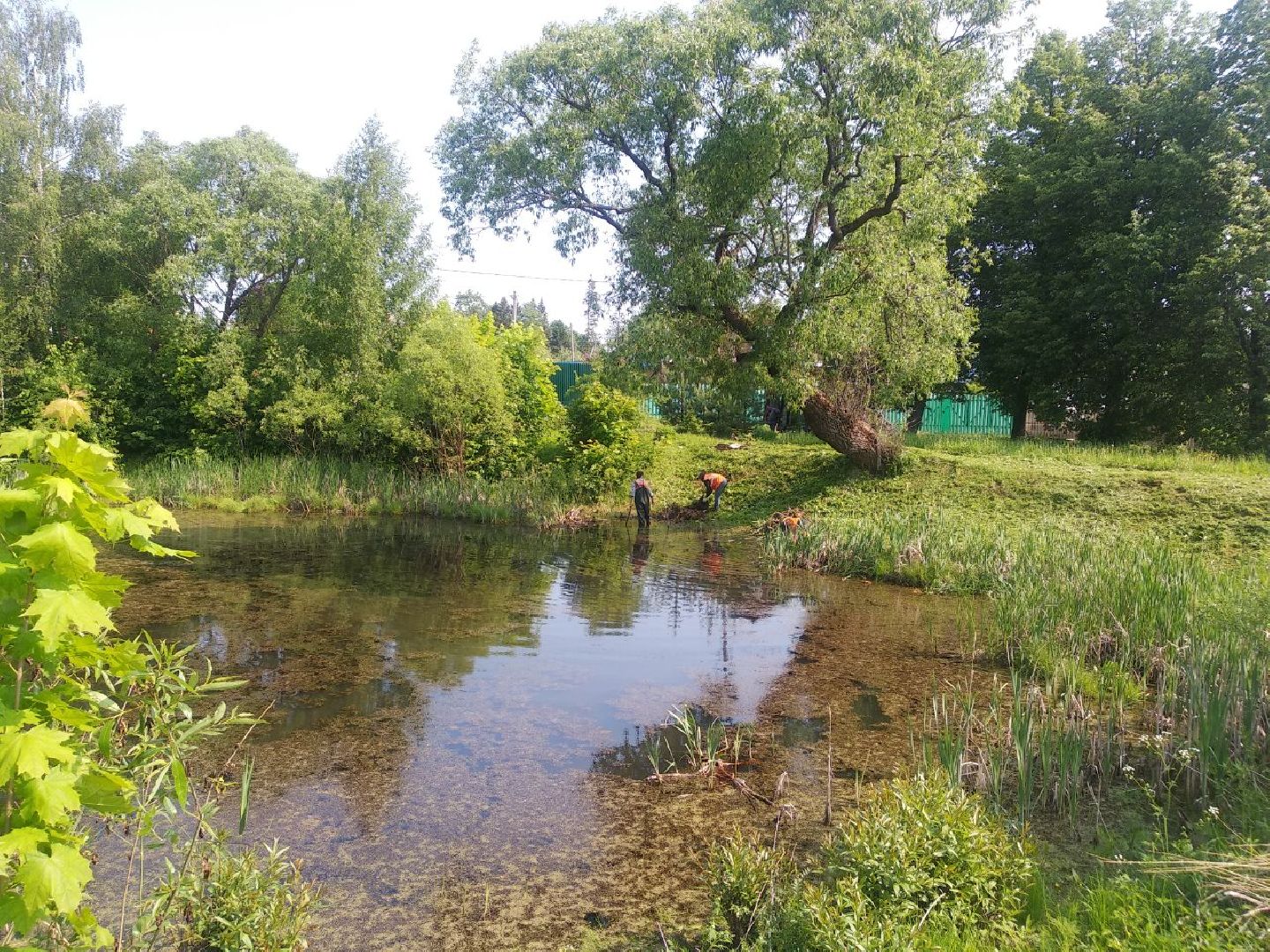 Дмитров, программа 100 прудов и озер, Мин благоустройства МО