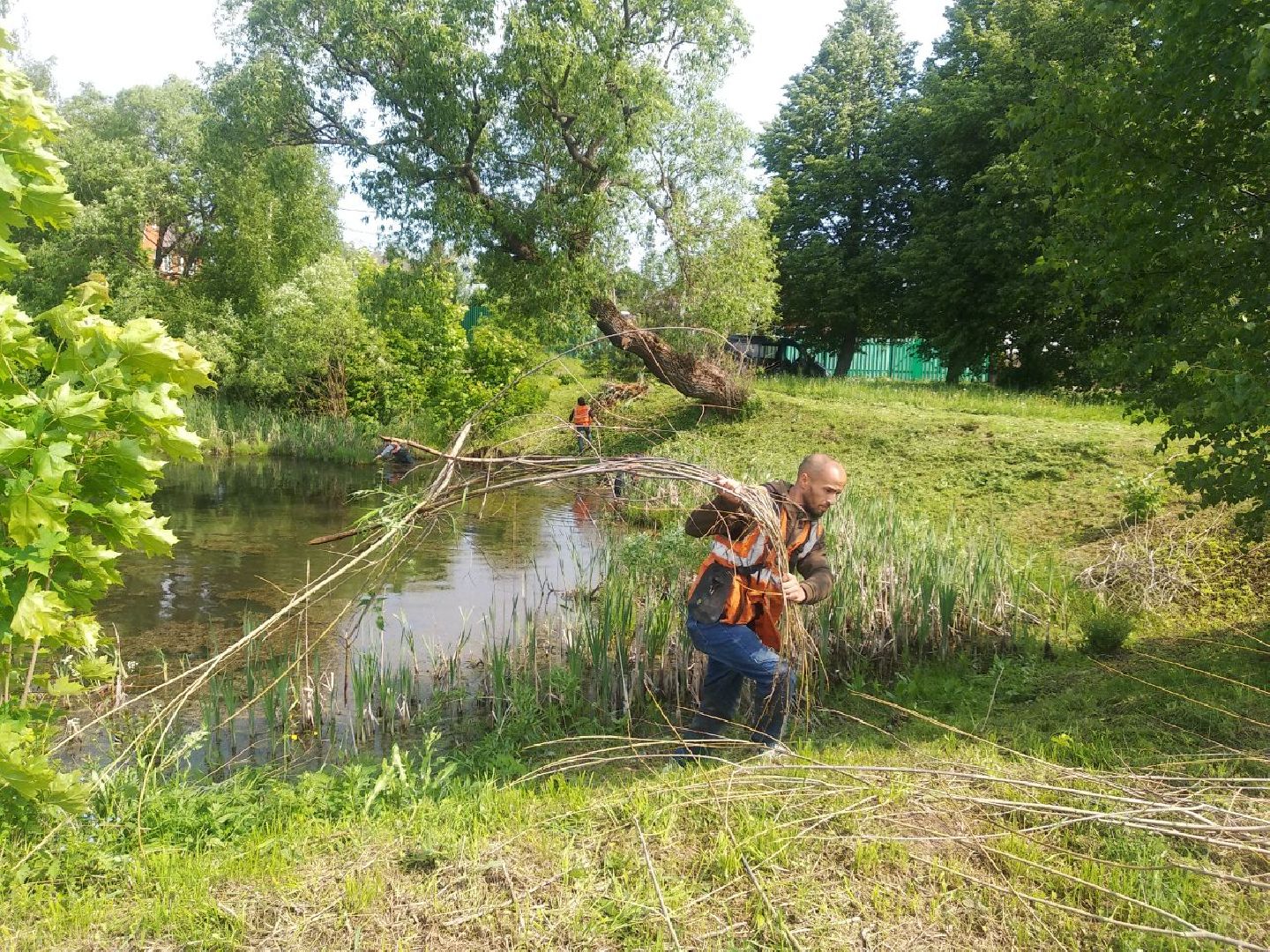 Дмитров, программа 100 прудов и озер, Мин благоустройства МО