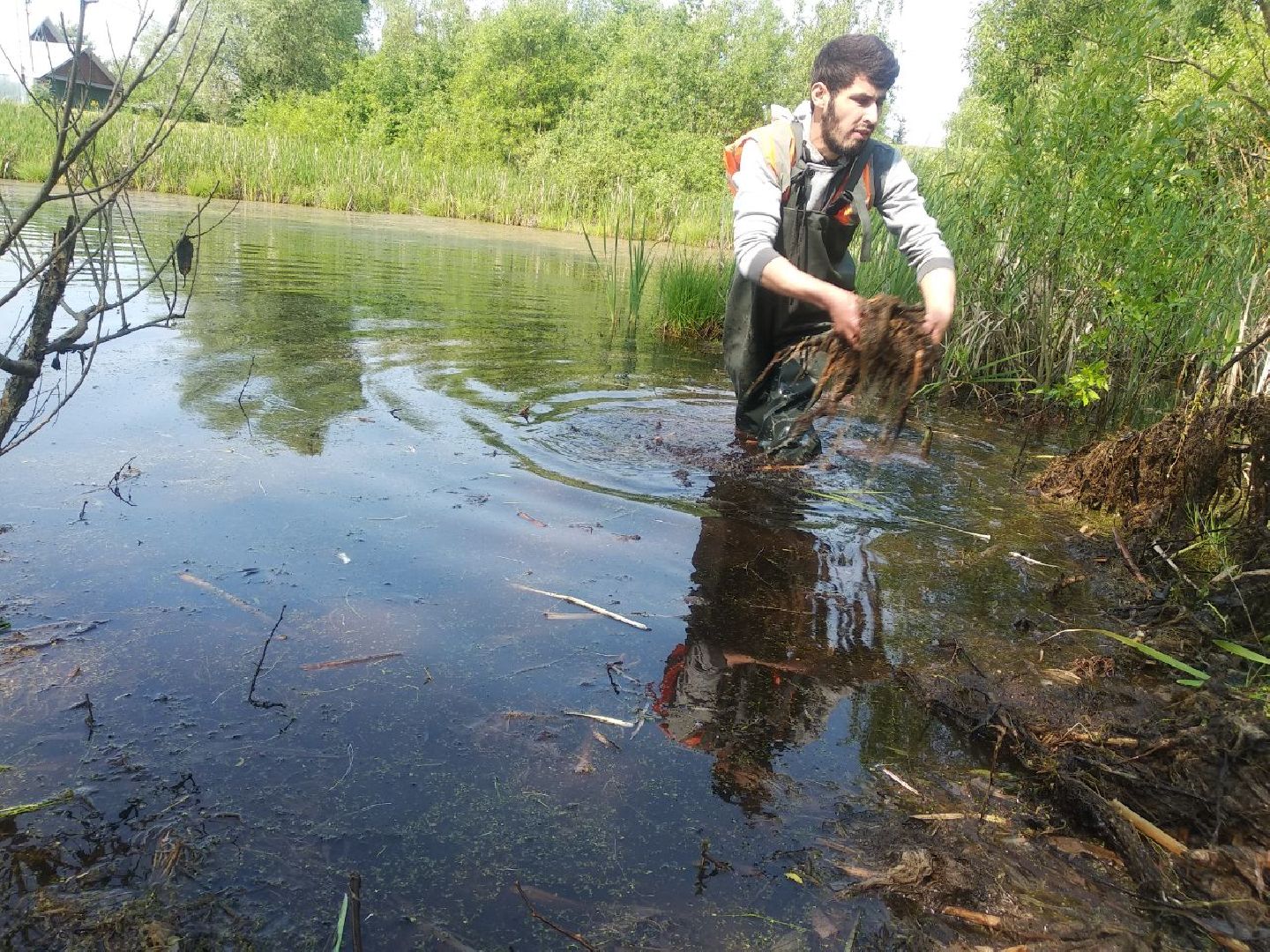 Дмитров, программа 100 прудов и озер, Мин благоустройства МО