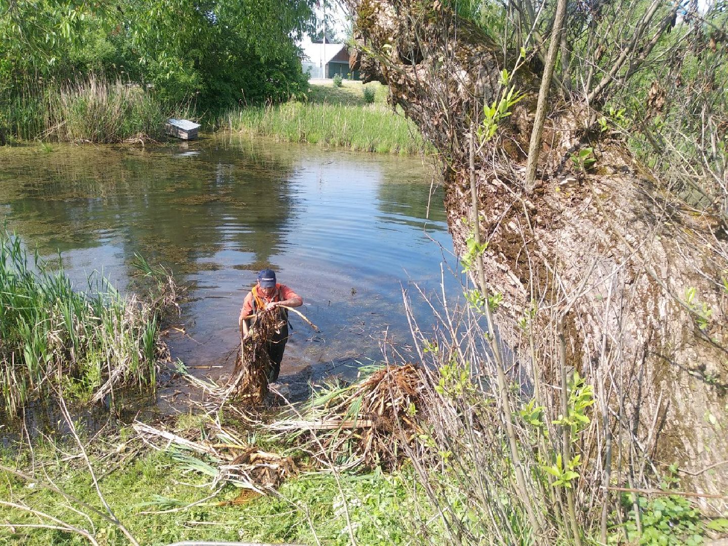 Дмитров, программа 100 прудов и озер, Мин благоустройства МО