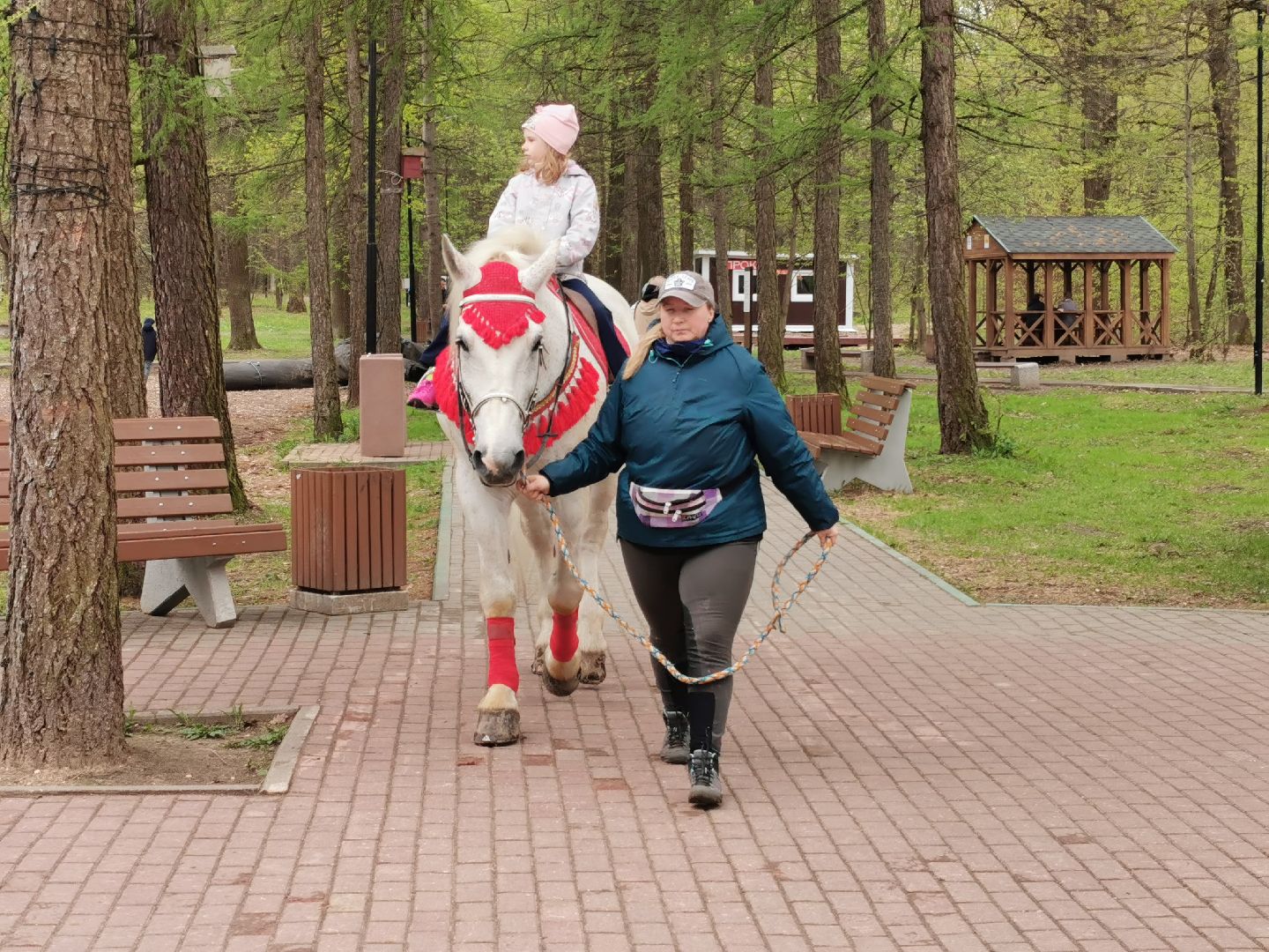 Подольск, парк