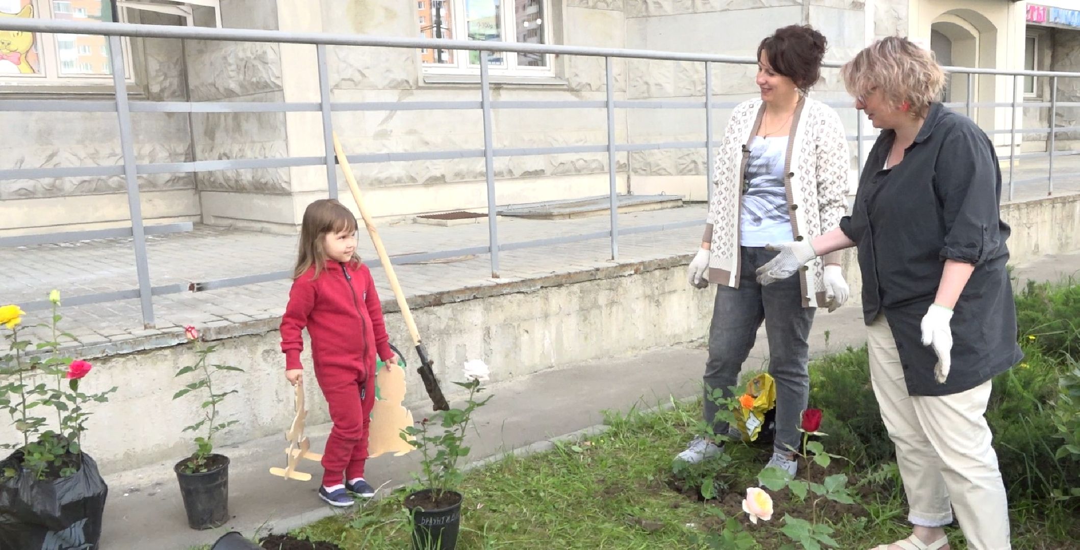 Пахринский, цветы, Домодедово