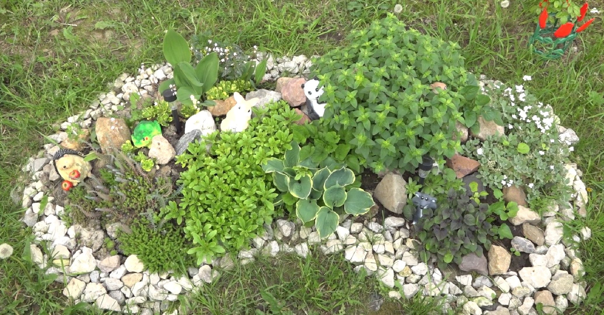 Пахринский, цветы, Домодедово