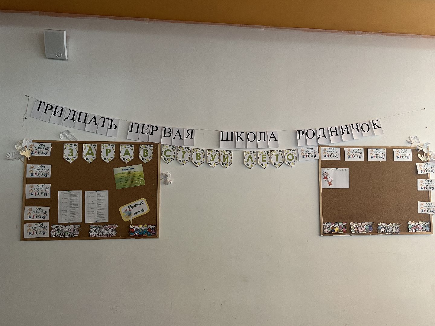 Химки, летний отдых, школьный лагерь, школа