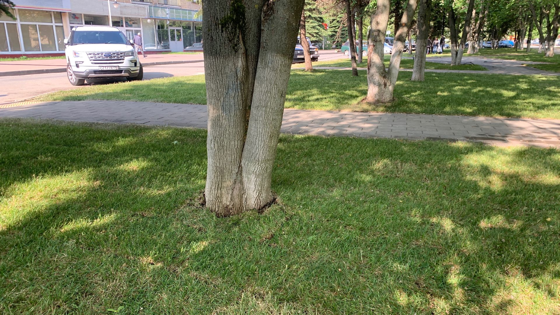 Ступино, благоустройство, комфортная городская среда