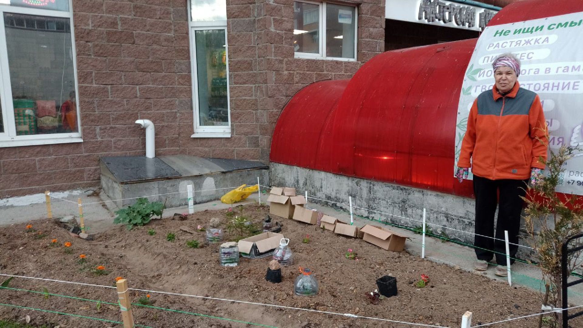 Балашиха, клумбы, цветы, растения, благоустройство, анютины глазки, бегония, петунья, люпин, гвоздика, роза