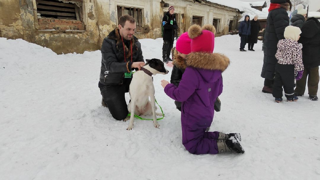 Пушкино, Пушкинский, волонтеры, особенные дети, многодетные, масленица, Зима в Подмосковье
