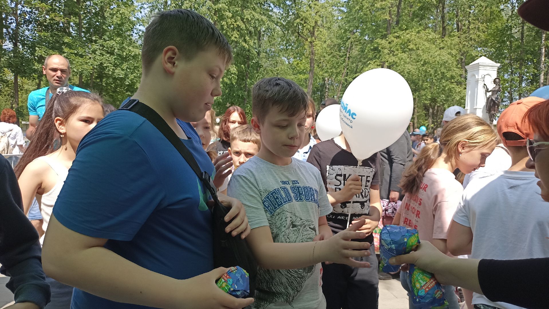 Серпухов, Подмосковье, Добродел, голосование, парки