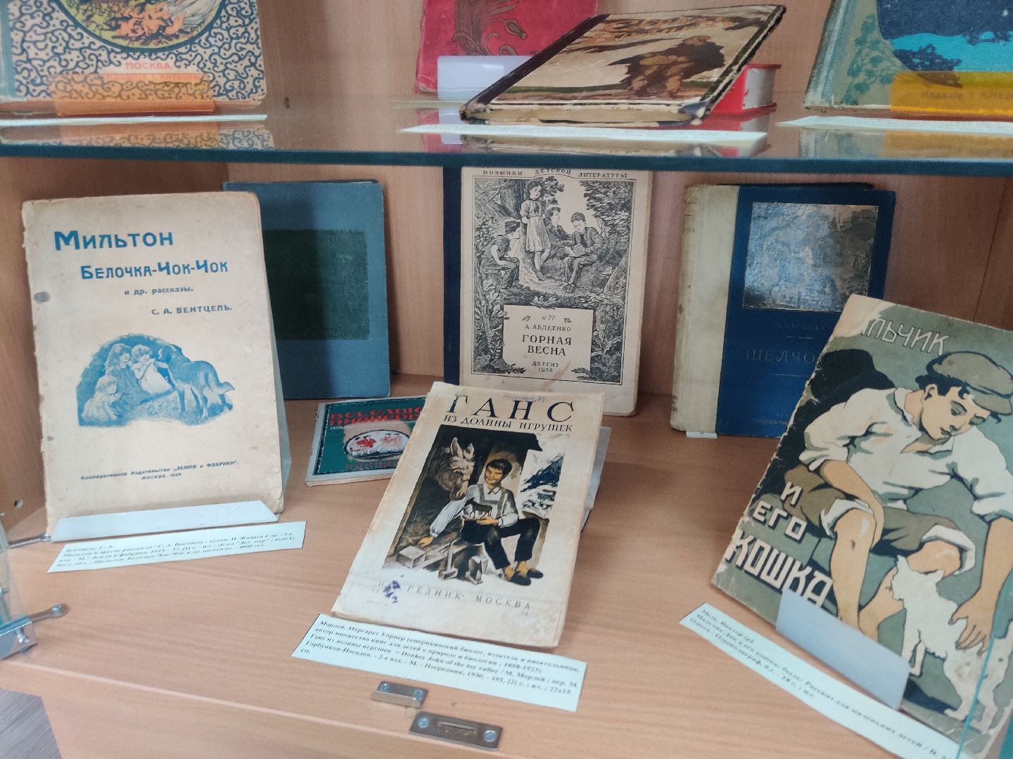 Красноармейск, Пушкинский, музей книги, мир детства, выставка