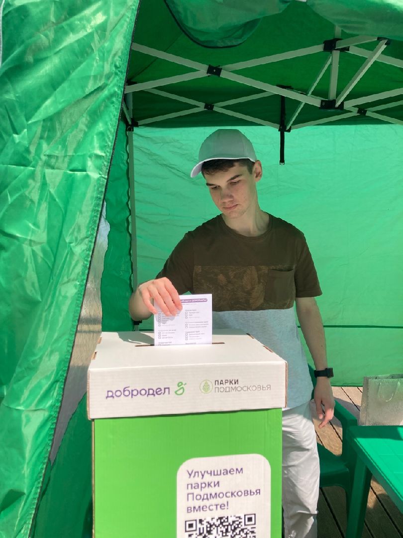 Солнечногорск, голосование, благоустройство, парк, добродел