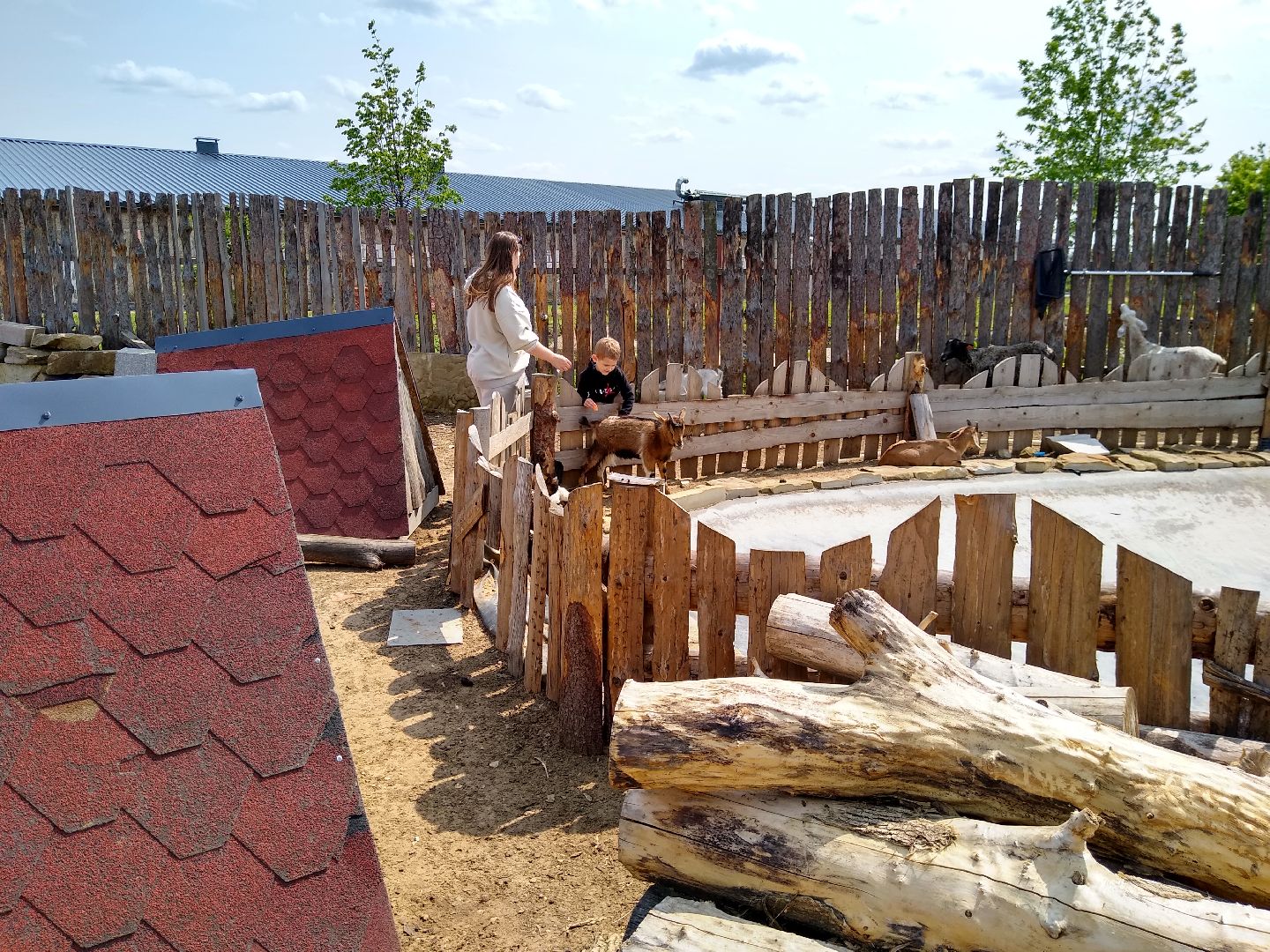 Раменское, экономика, праздник для детей на ферме в Заболотье