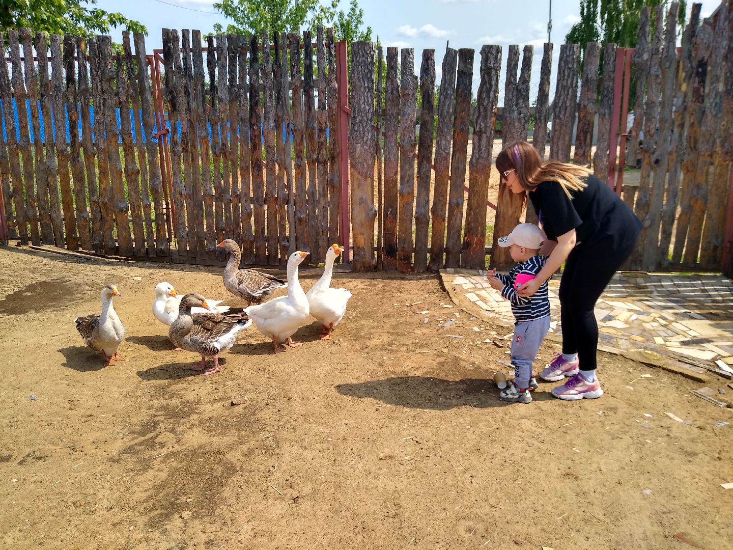 Раменское, экономика, праздник для детей на ферме в Заболотье