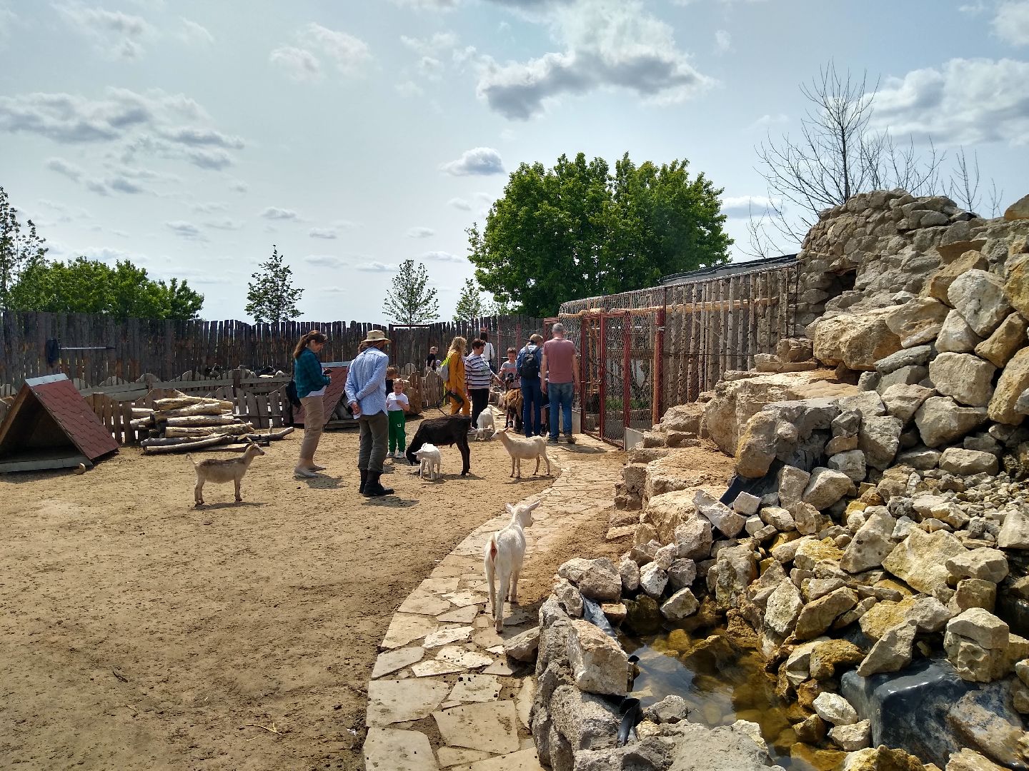 Раменское, экономика, праздник для детей на ферме в Заболотье