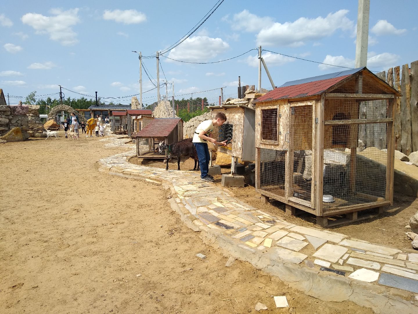 Раменское, экономика, праздник для детей на ферме в Заболотье