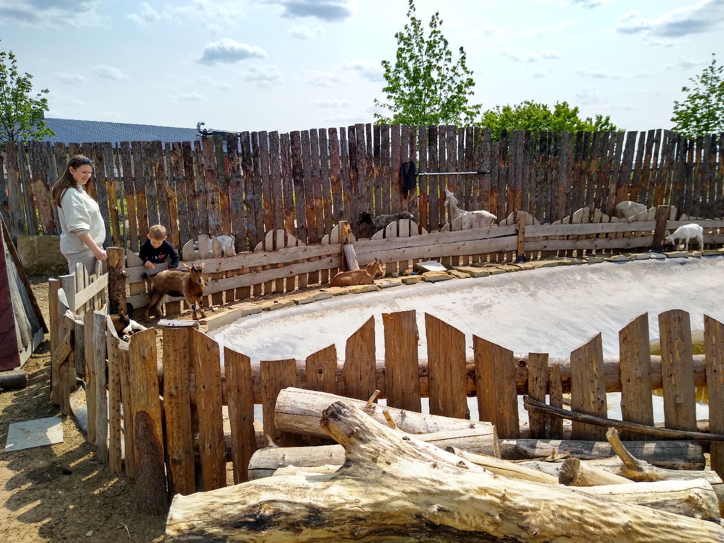 Раменское, экономика, праздник для детей на ферме в Заболотье