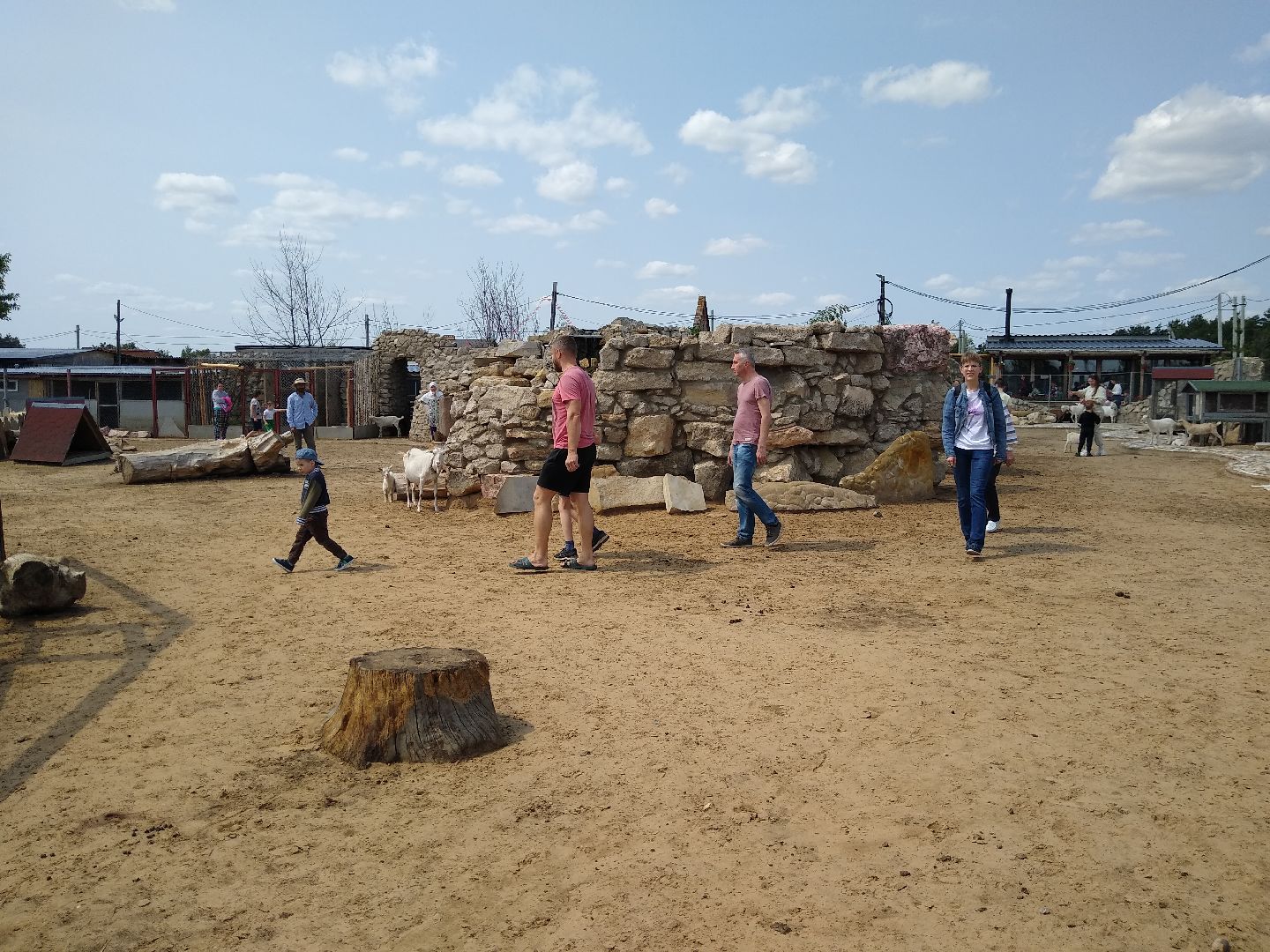 Раменское, экономика, праздник для детей на ферме в Заболотье