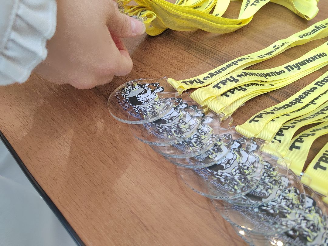 Пушкино, Пушкинский, спорт, живу спортом, бокс, Зима в Подмосковье, турнир по боксу, Пушкинская битва