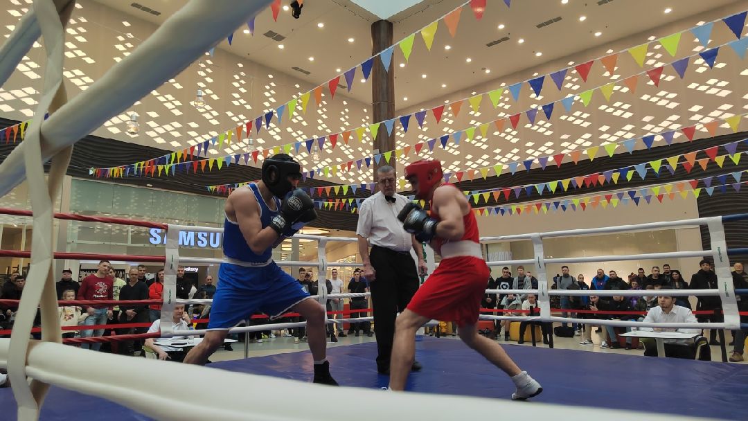 Пушкино, Пушкинский, спорт, живу спортом, бокс, Зима в Подмосковье, турнир по боксу, Пушкинская битва