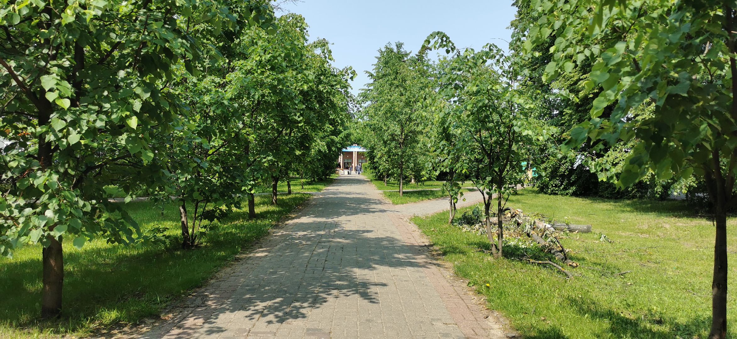 благоустройство, скверы, голосование,