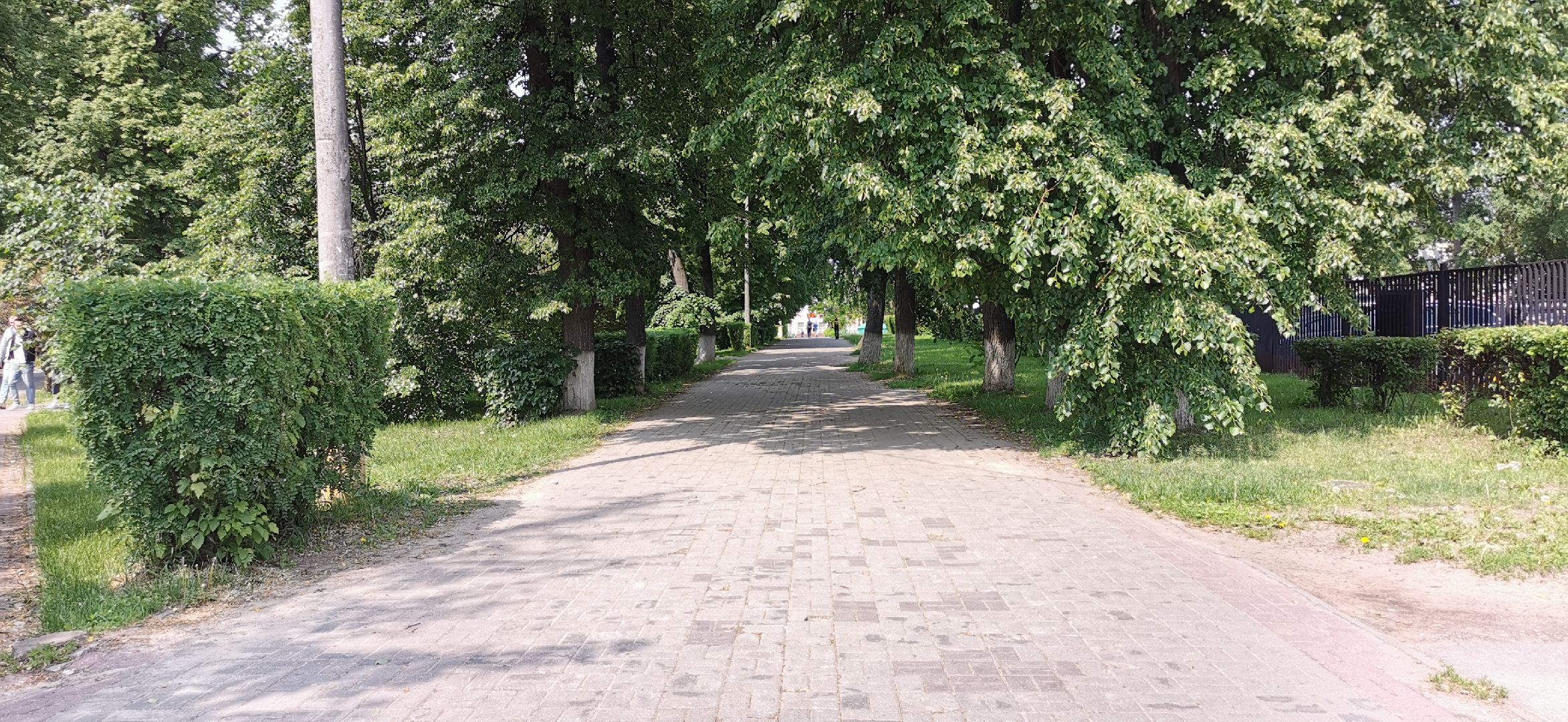 благоустройство, скверы, голосование,