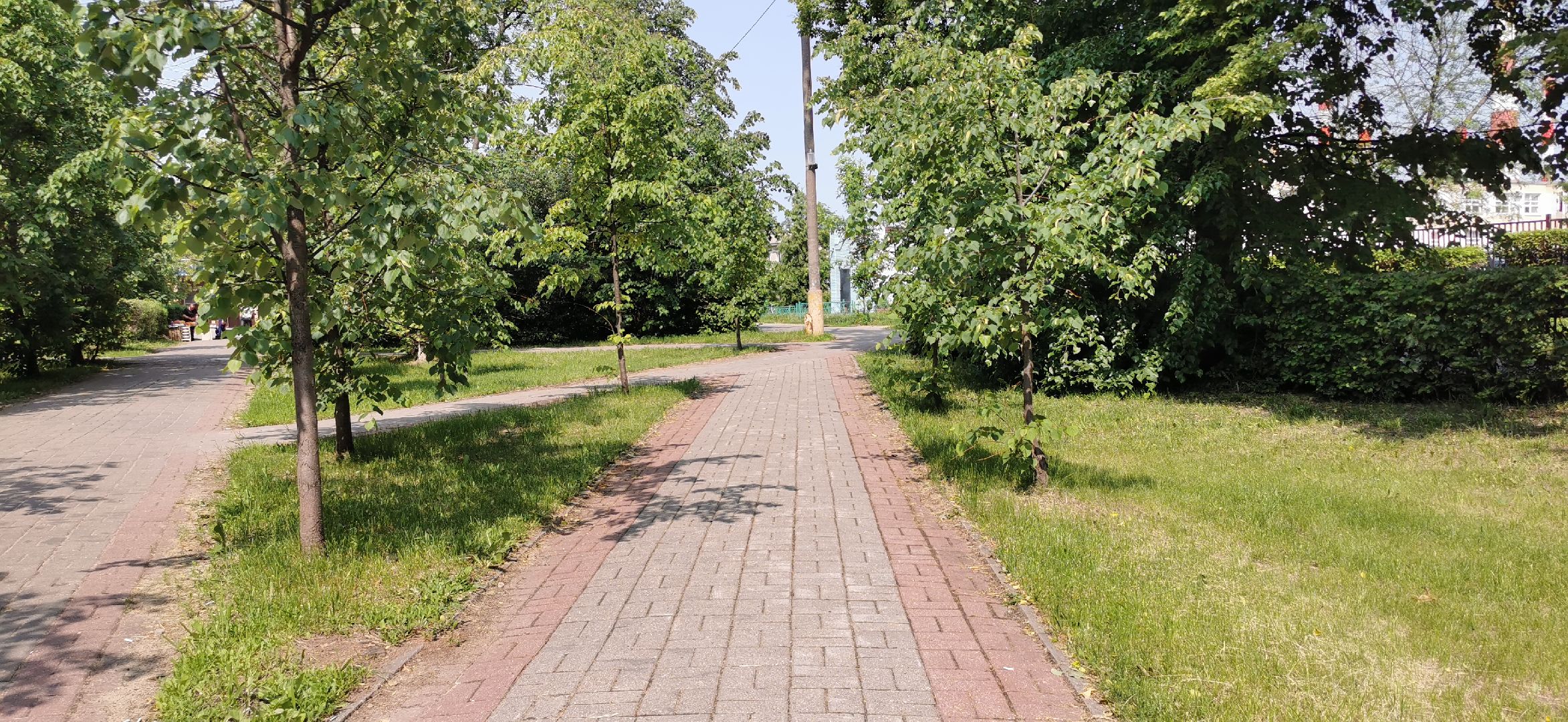 благоустройство, скверы, голосование,