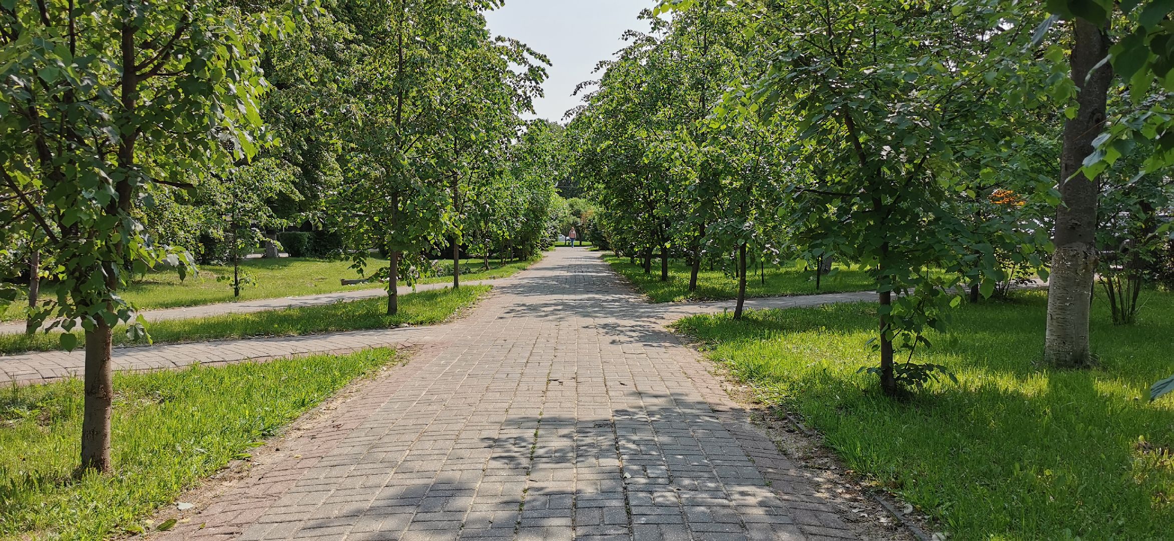 благоустройство, скверы, голосование,