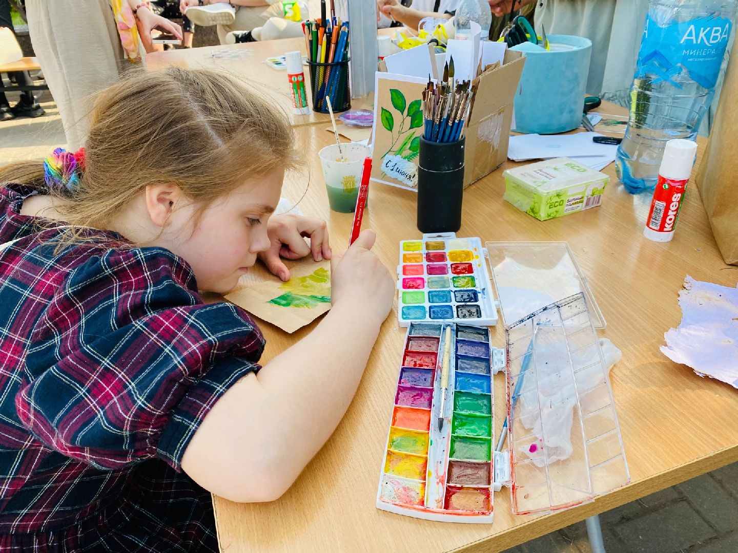 Домодедово, экоинициатива, экофестиваль, экология