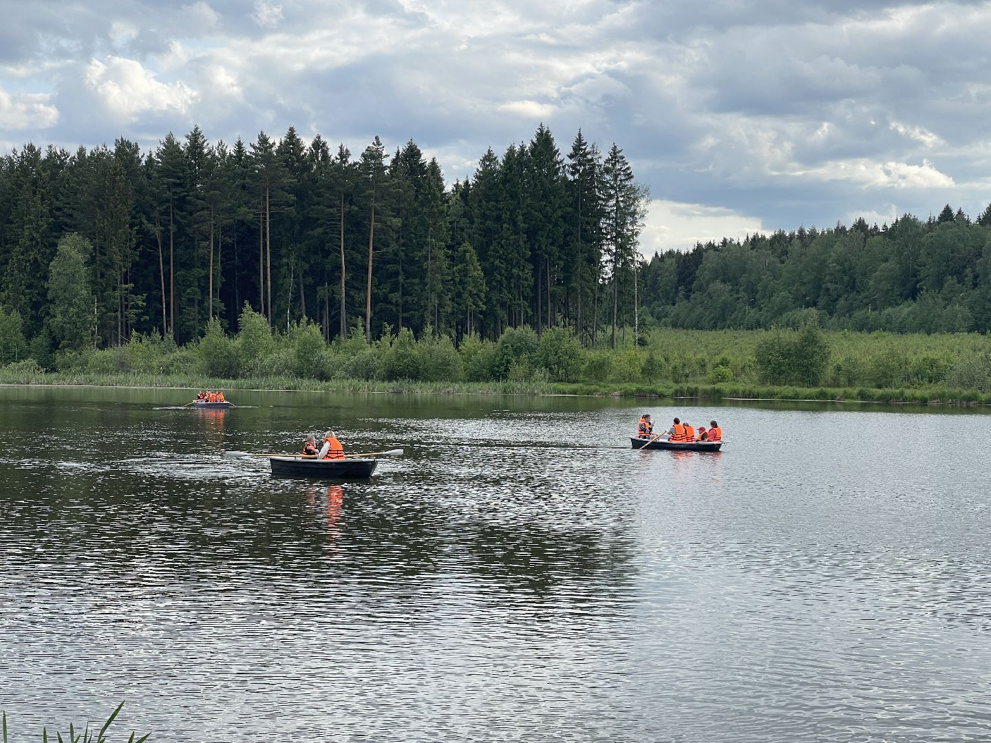Экология, день защиты детей, благотворительность, Одинцово, Старый городок,
