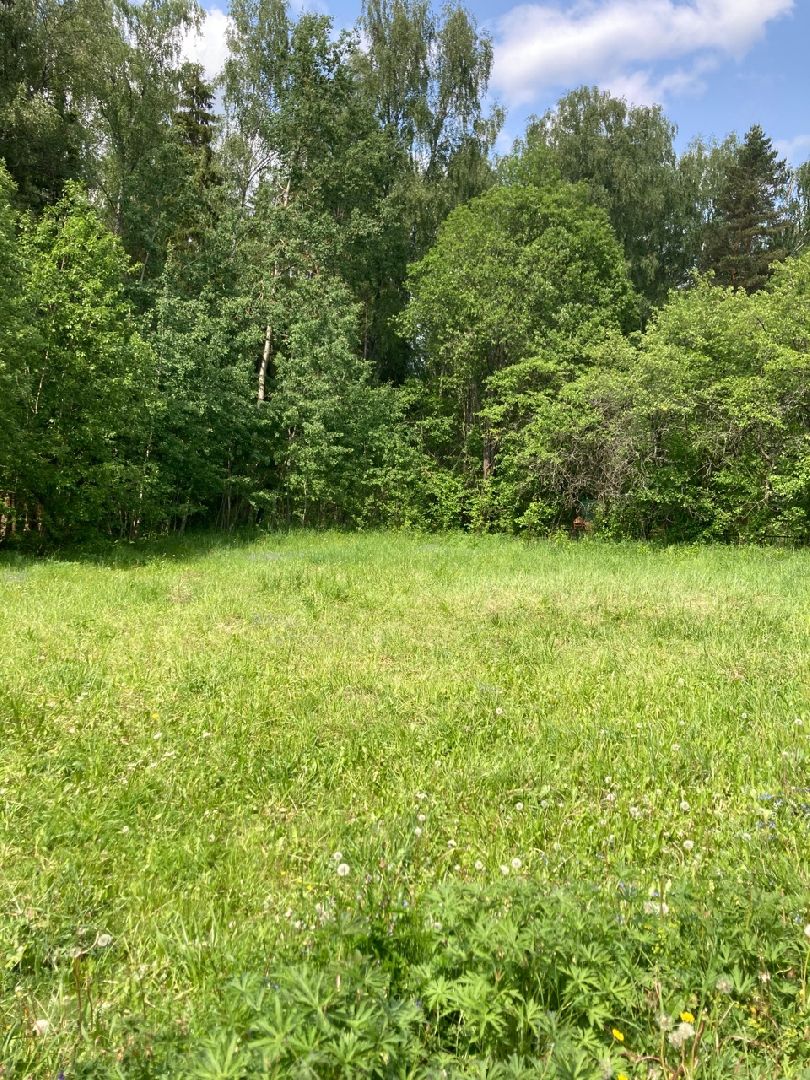 Солнечногорск, детская площадка, дети, благоустройство, Лесное озеро