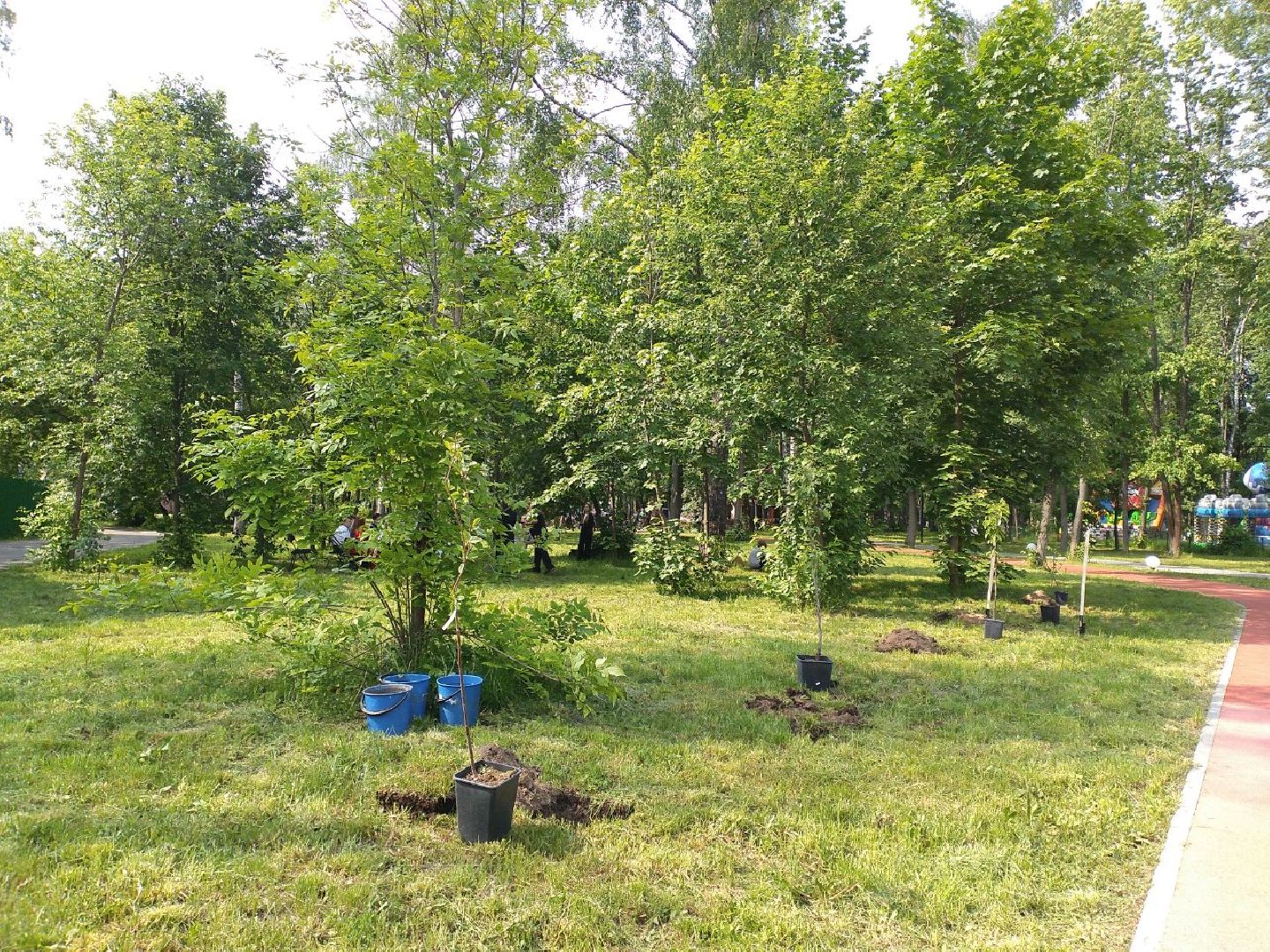 детская школа искусств, парк, дети, выпускники, Лосино-Петровский