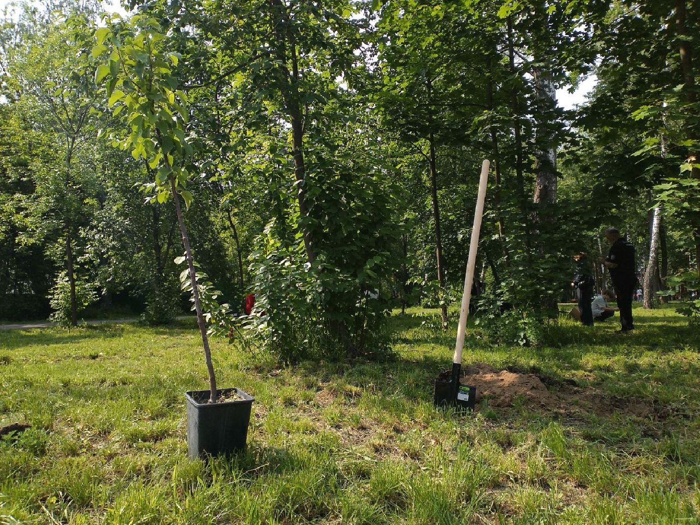 детская школа искусств, парк, дети, выпускники, Лосино-Петровский