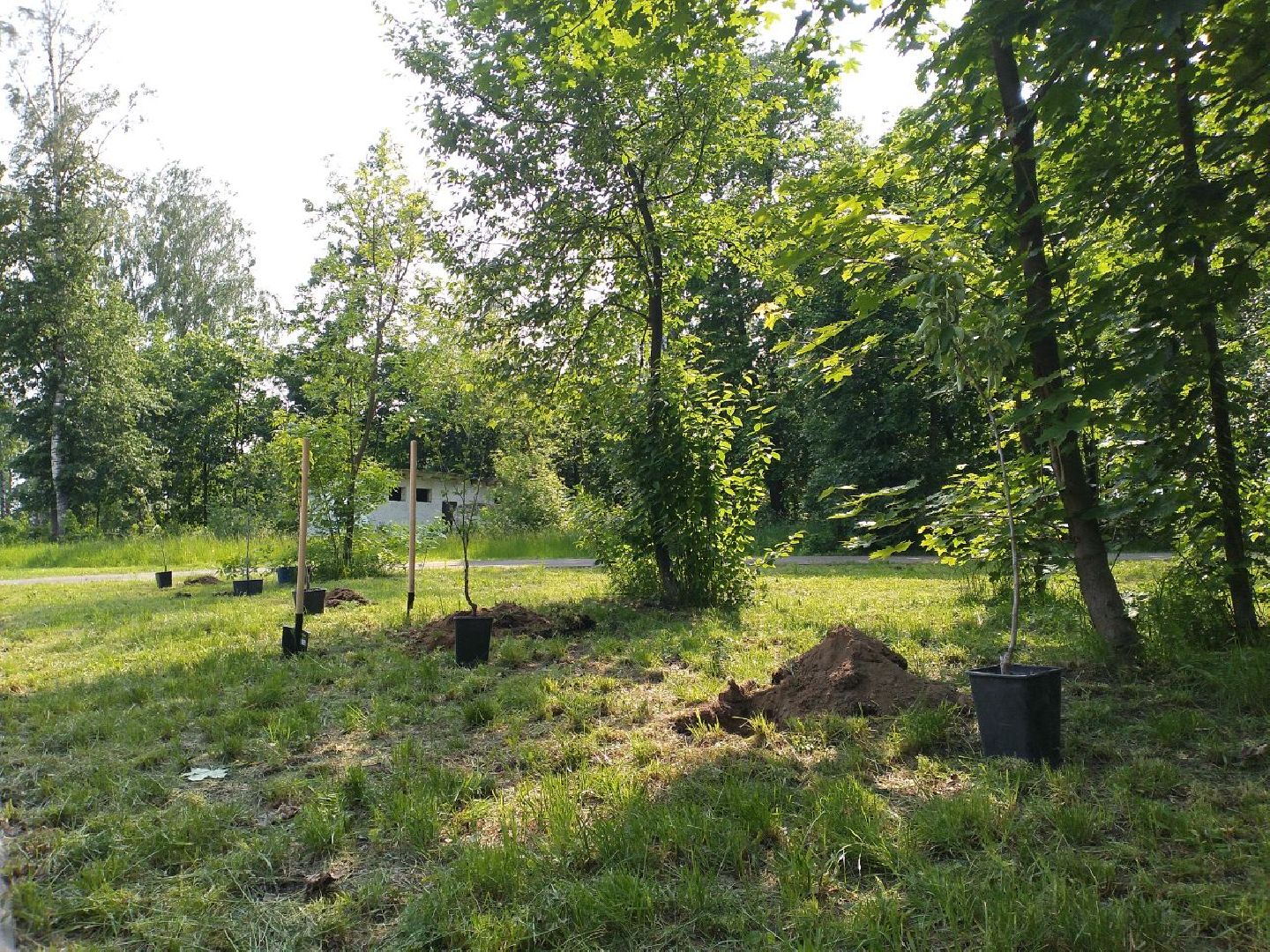 детская школа искусств, парк, дети, выпускники, Лосино-Петровский