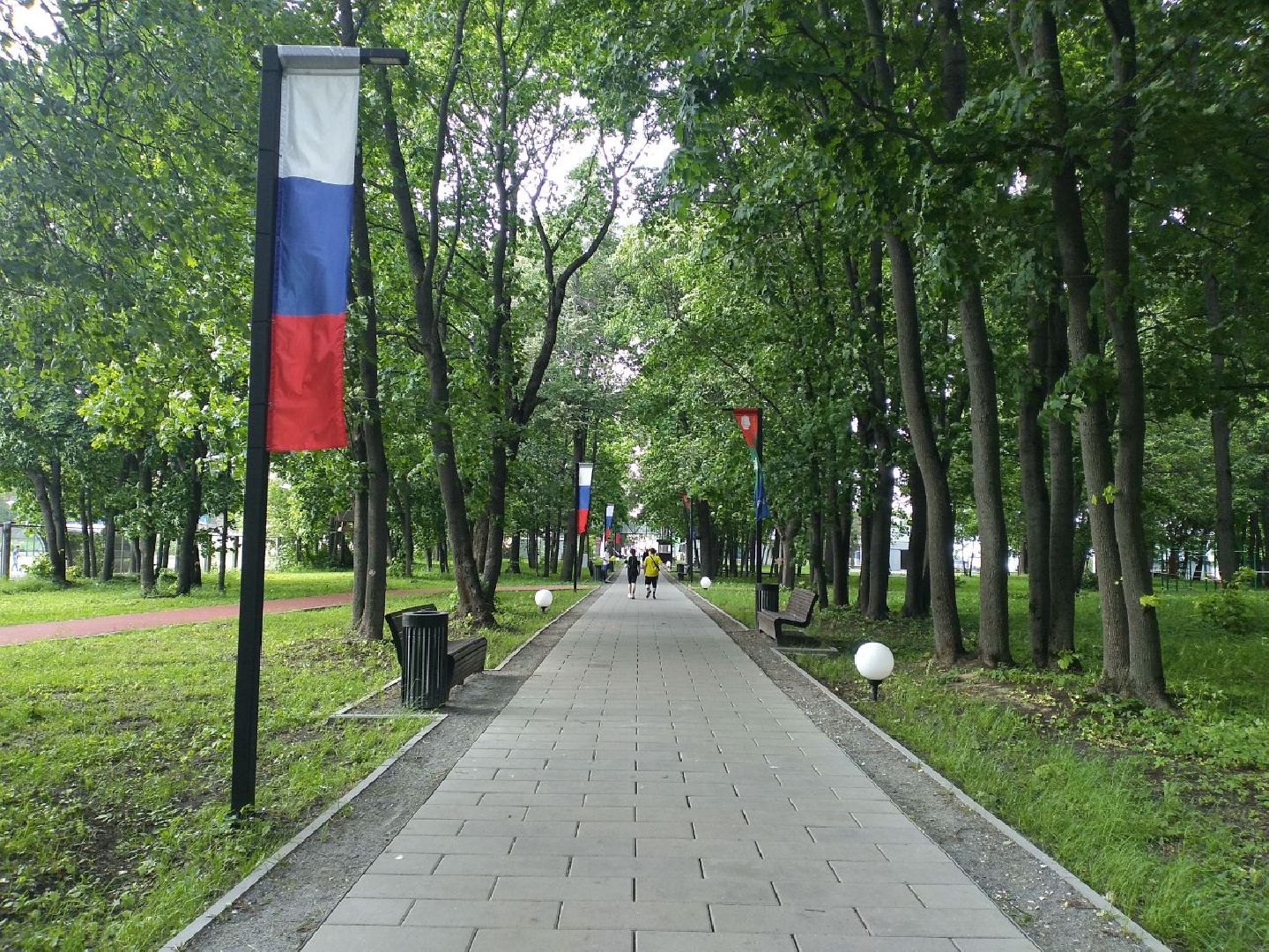 благоустройство, парки Подмосковья, голосование, Лосино-Петровский