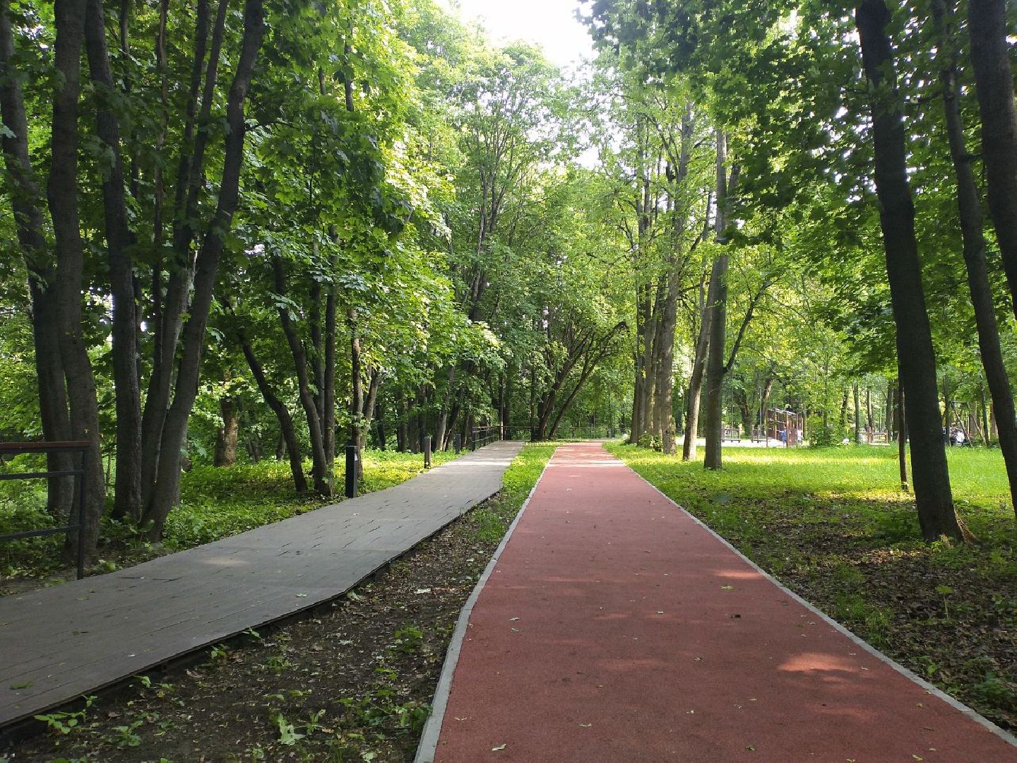 благоустройство, парки Подмосковья, голосование, Лосино-Петровский