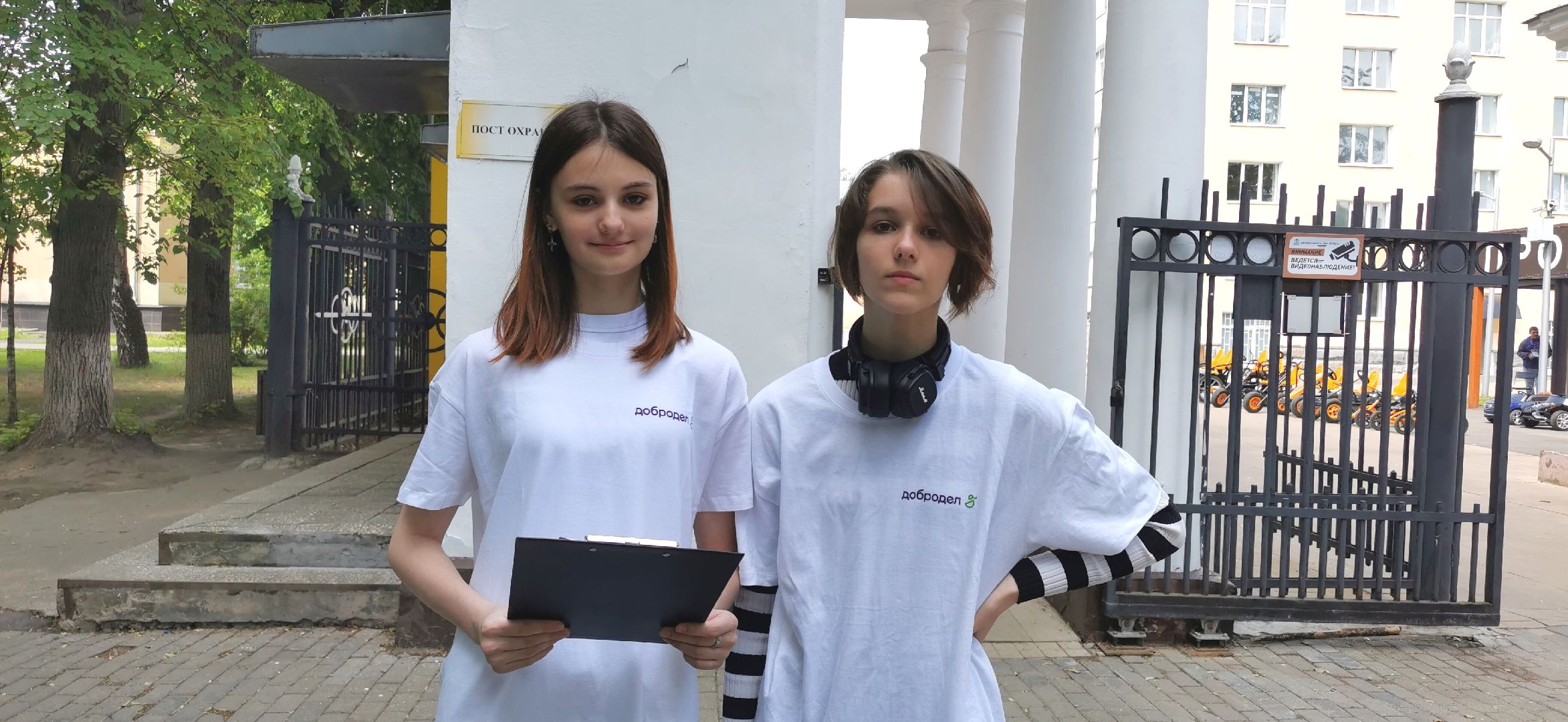 волонтёры, парки, голосование, добродел,