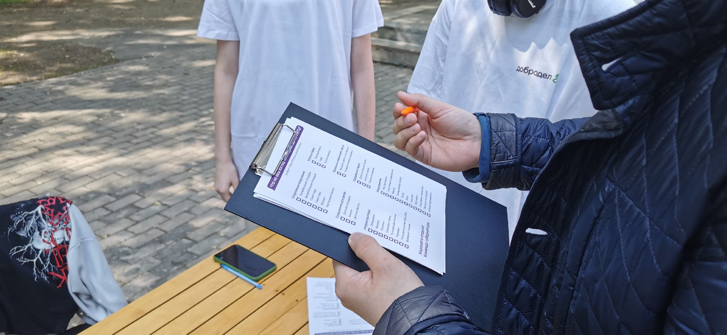 волонтёры, парки, голосование, добродел,