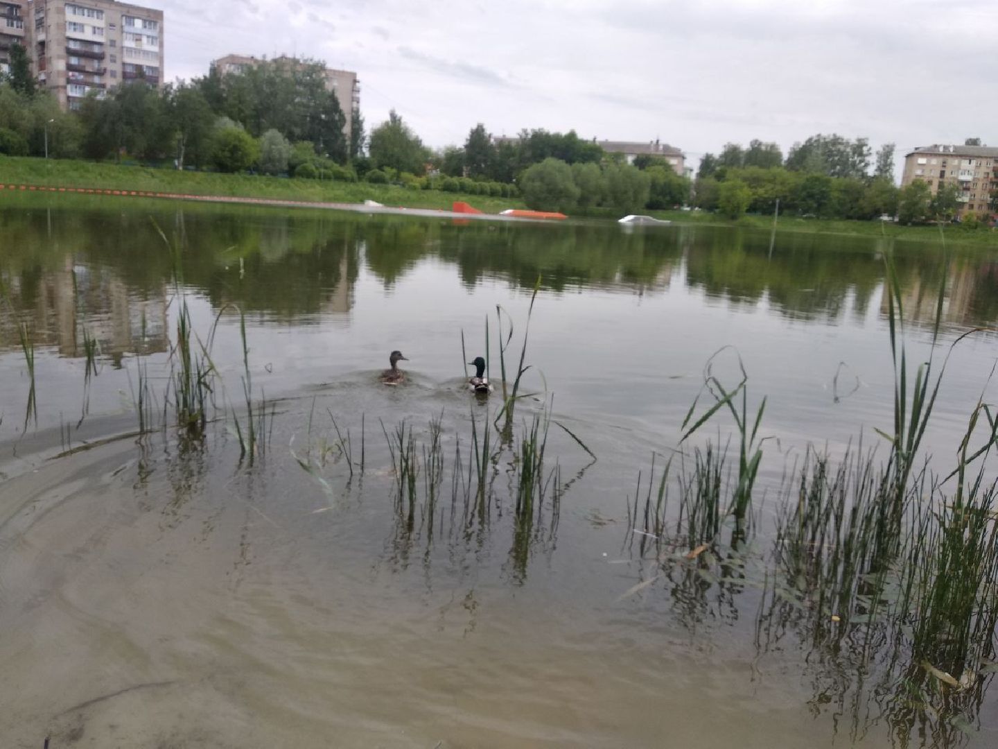 Дмитров, Пруд на Инженерной, Мин благоустройства МО