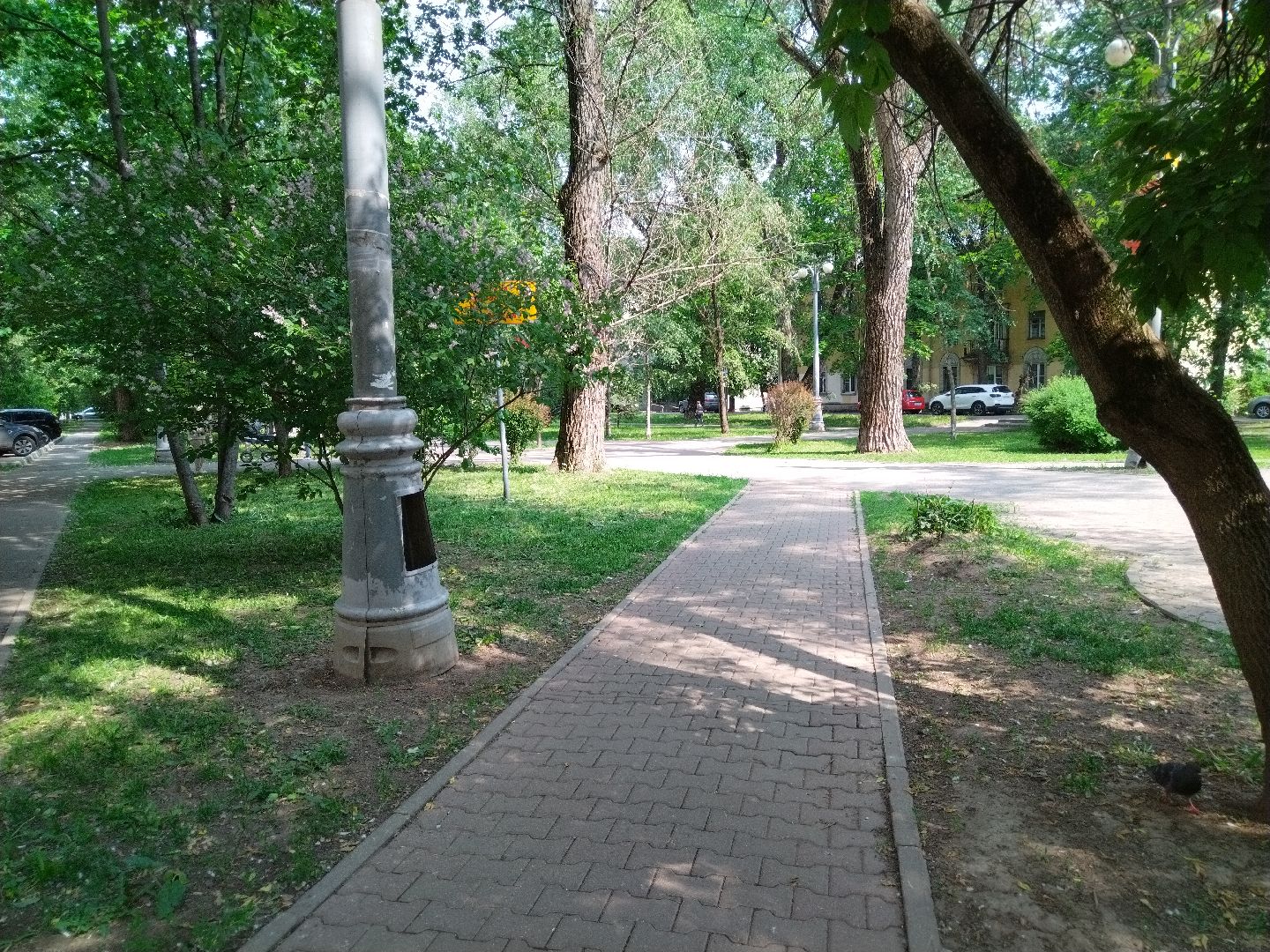 Благоустройство, Мытищи, Аллея ветеранов