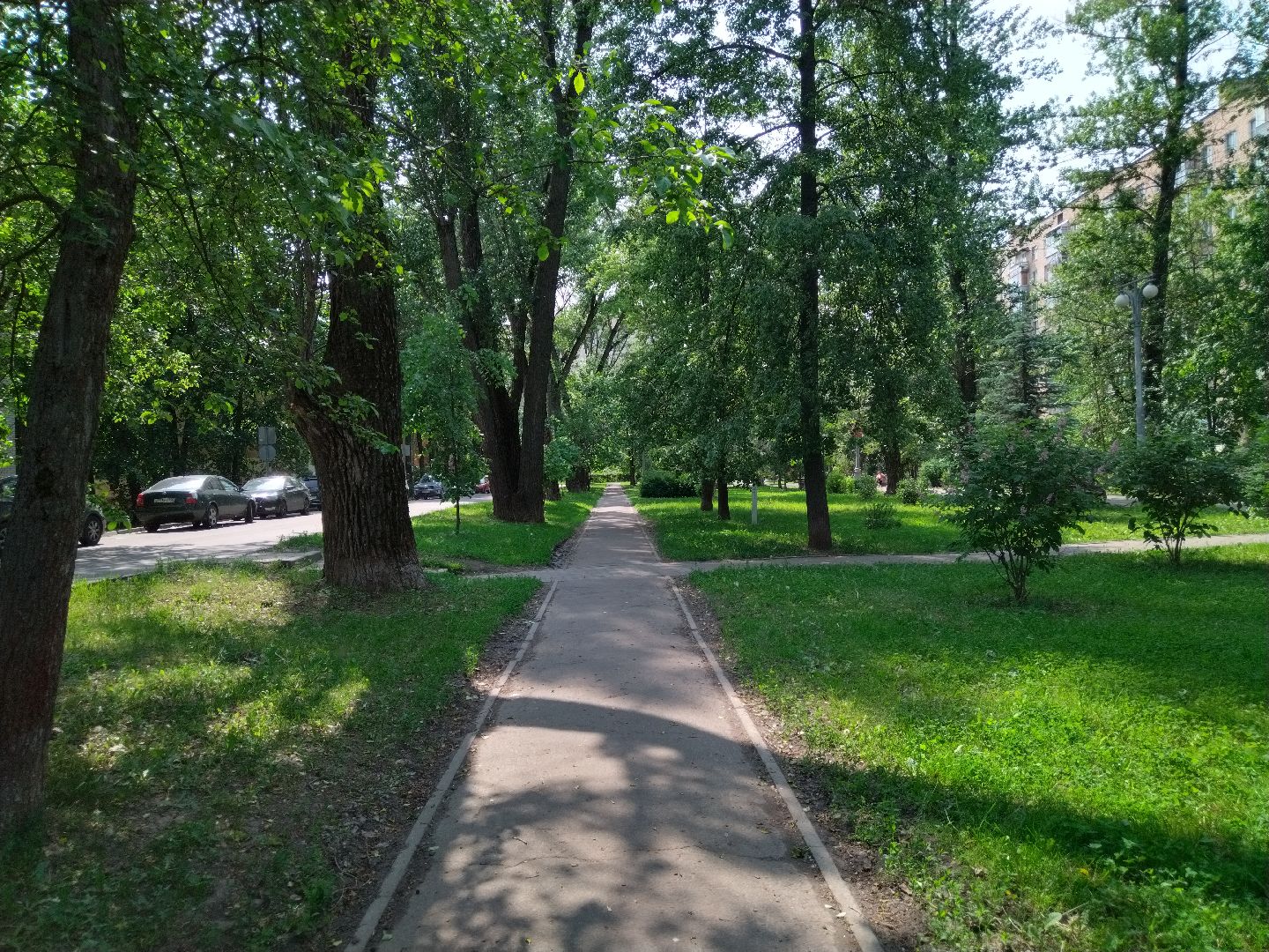 Благоустройство, Мытищи, Аллея ветеранов