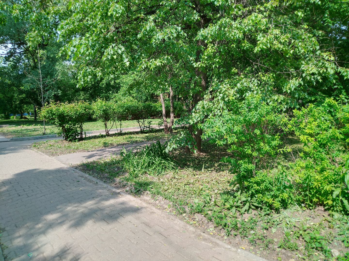 Благоустройство, Мытищи, Аллея ветеранов