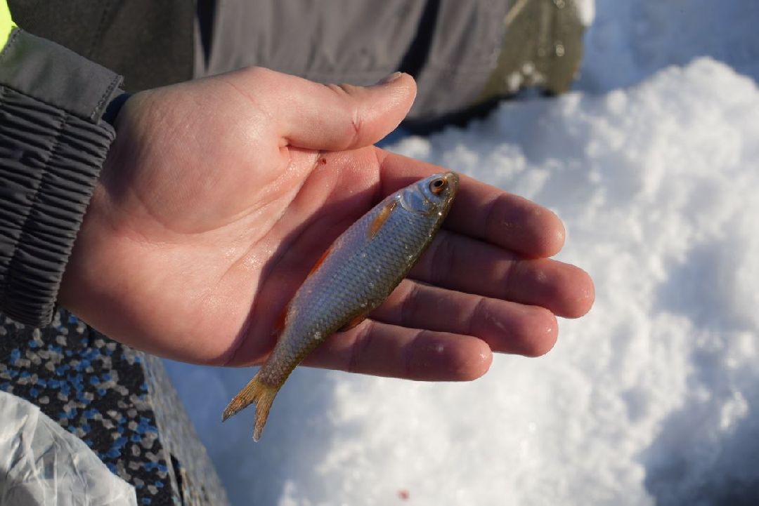 Сергиев Посад