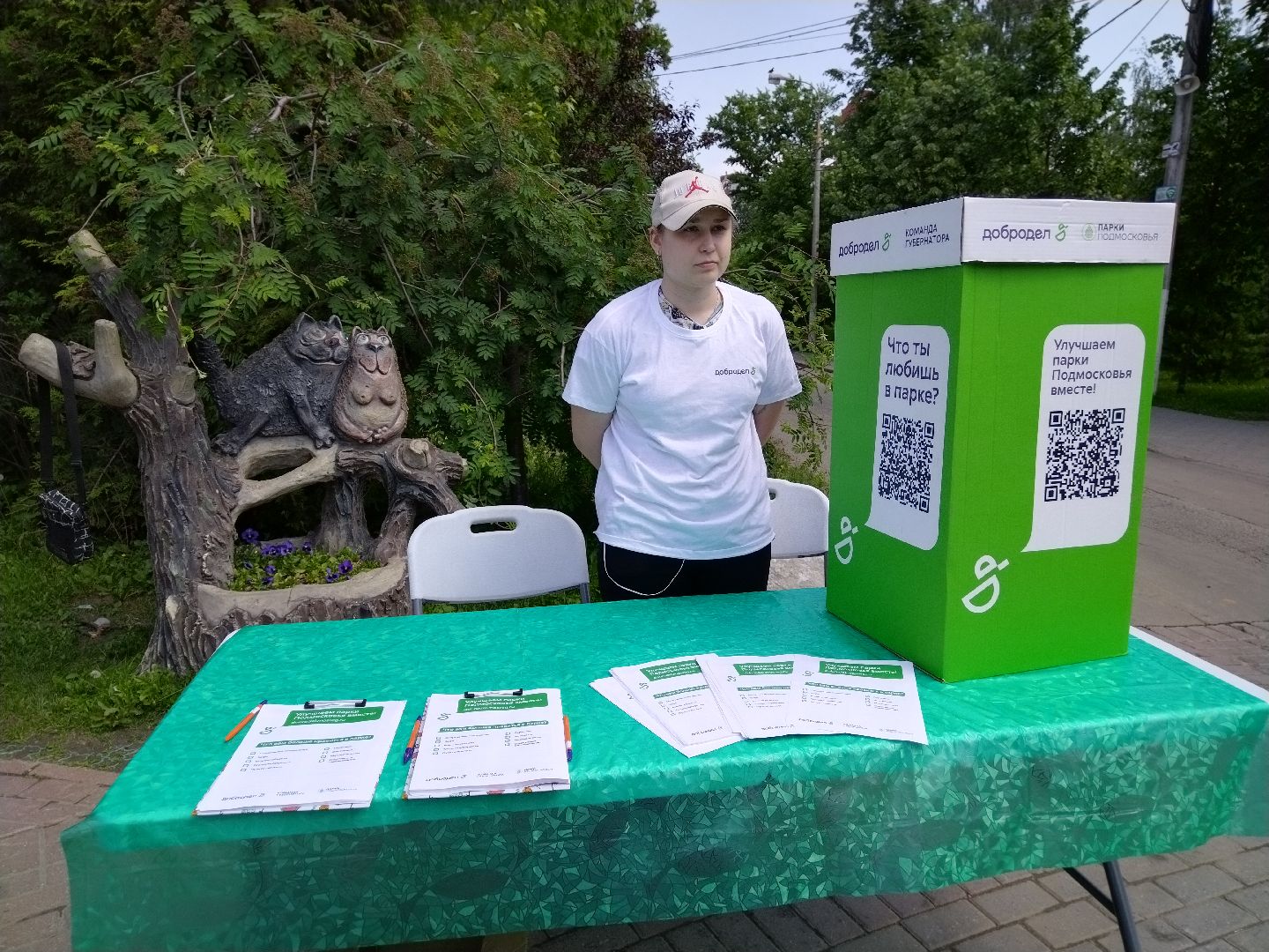 Парки, благоустройство, Мытищи, парковое голосование