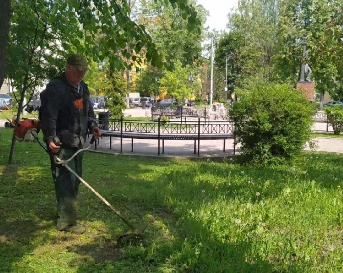 Газон, благоустройство, город