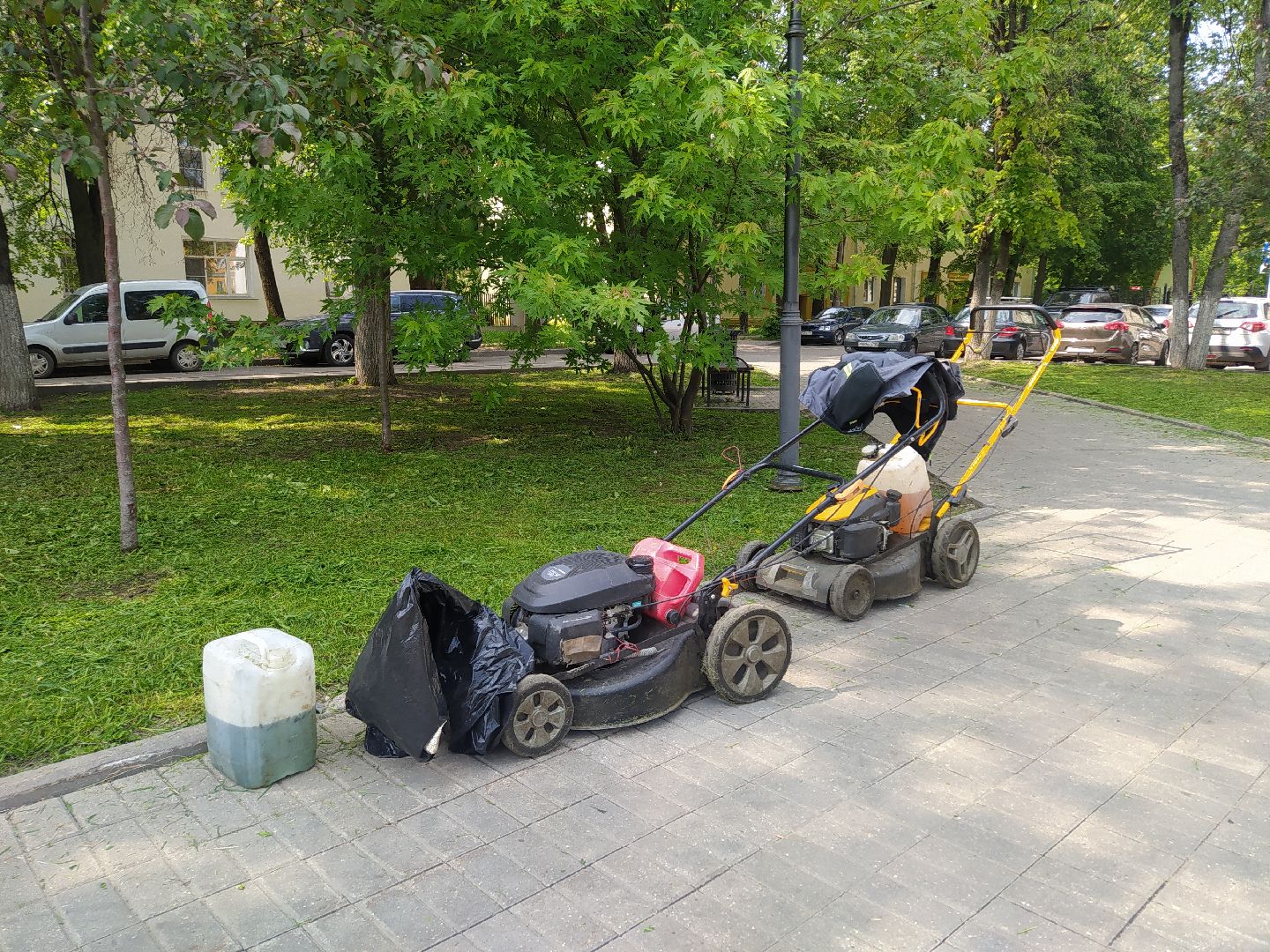 Газон, благоустройство, город