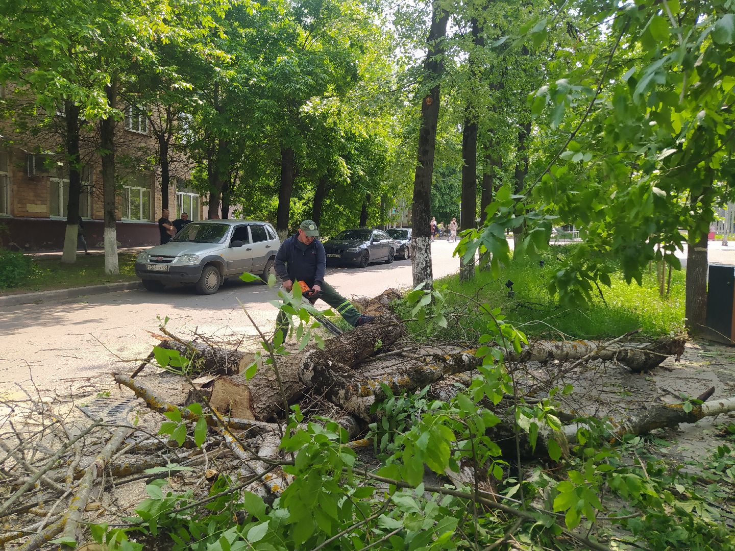 Спил, арборист, деревья, автовышка