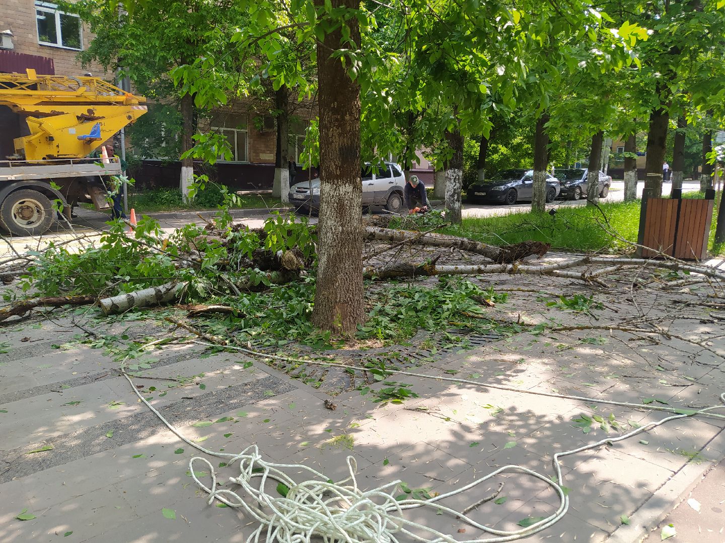 Спил, арборист, деревья, автовышка