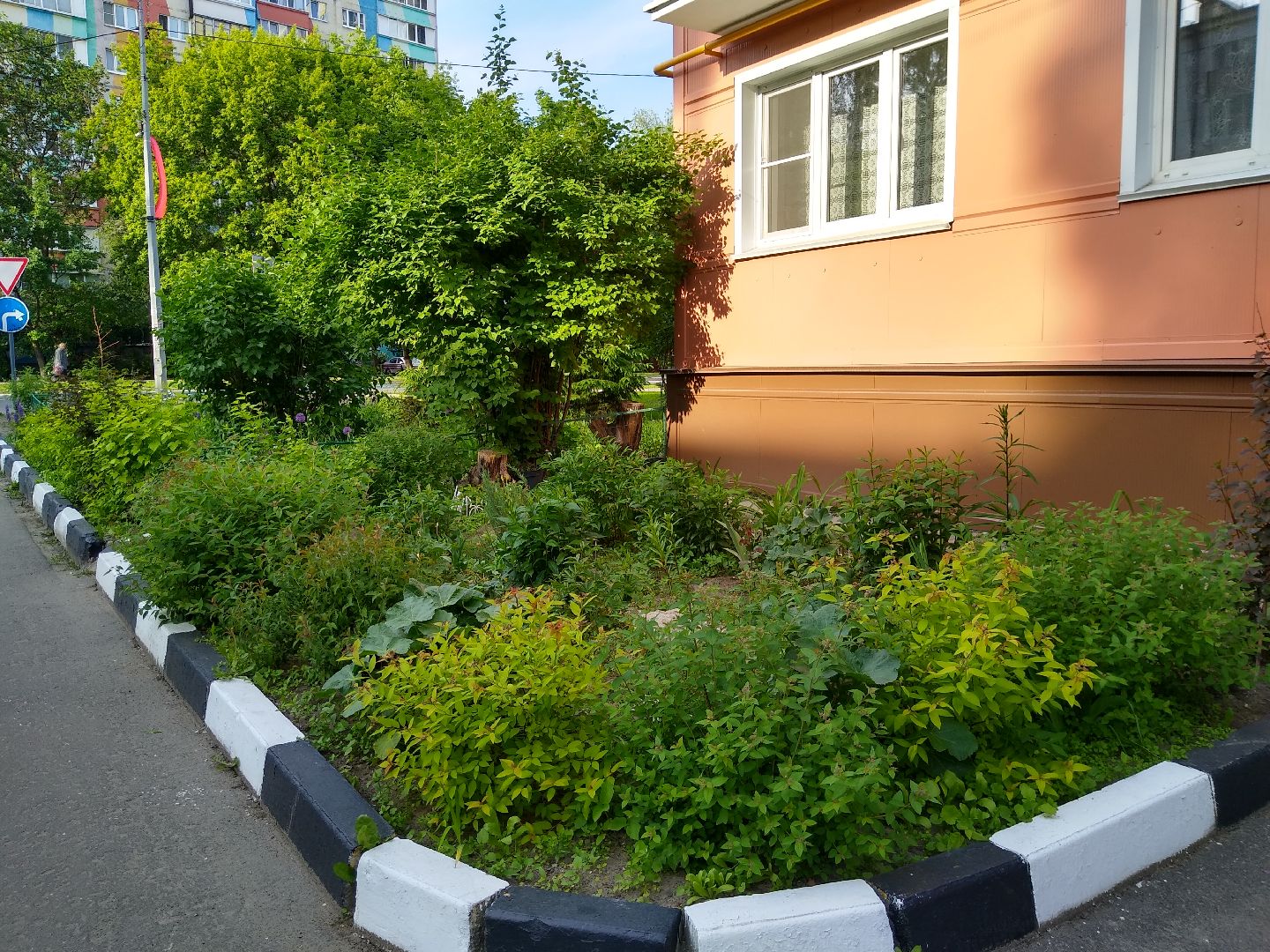 Раменское, благоустройство, палисадник, цветущий пень